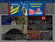 Tablet Screenshot of juniormascote.com.br